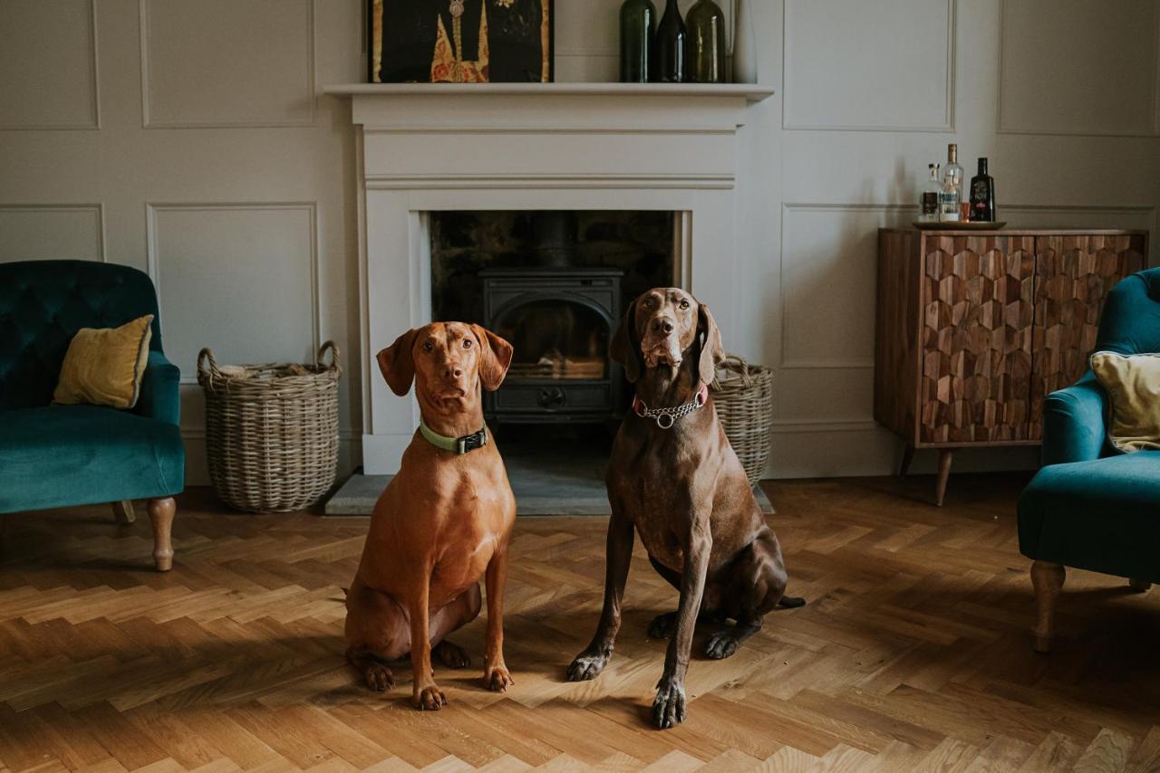 Bed and Breakfast Dacre House, Gilsland Экстерьер фото